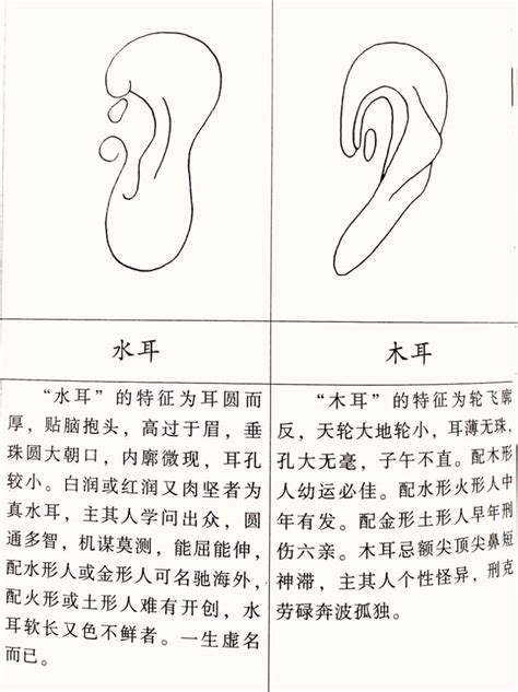 耳型 面相|十六種耳朵面相圖文分析